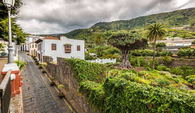 Teide - Masca - Garachico - Icod  (Puerto de la Cruz)